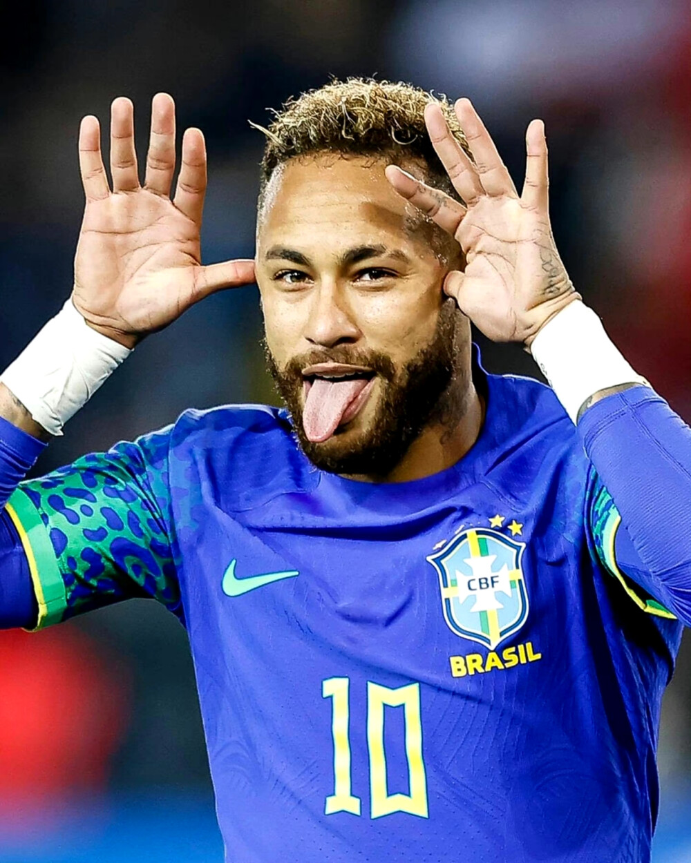 从球队管理 从球队管理