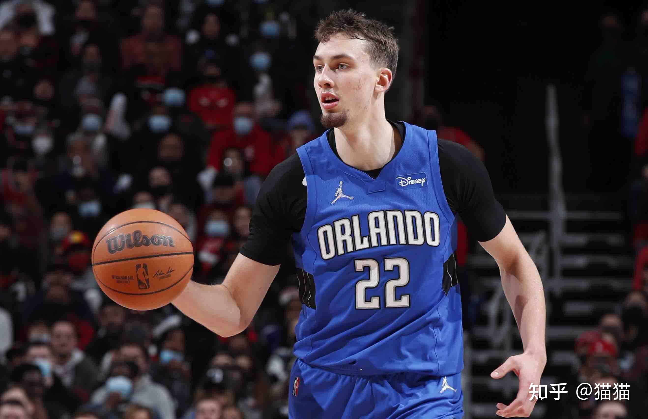 正如莫耶斯 正如莫耶斯