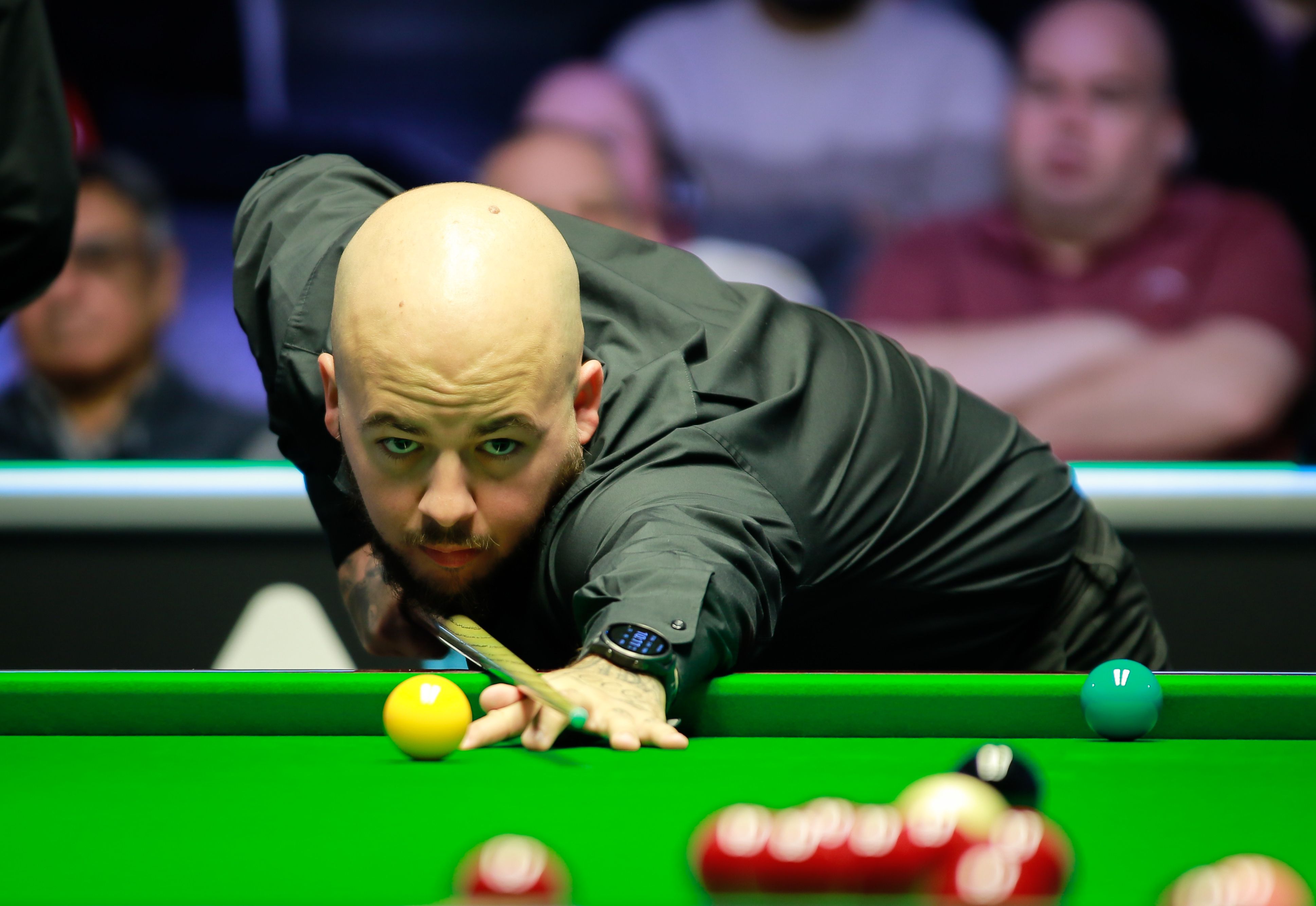 今年的女子 今年的女子