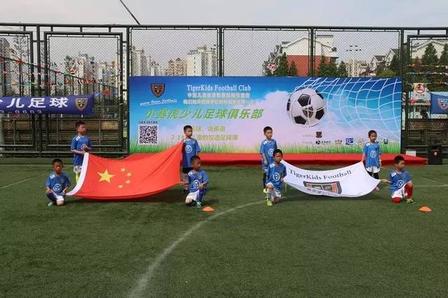 狗晒太阳 狗晒太阳